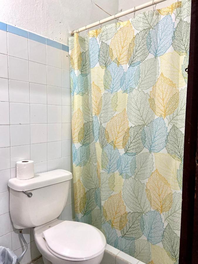 플로레스 Amavi House 아파트 외부 사진