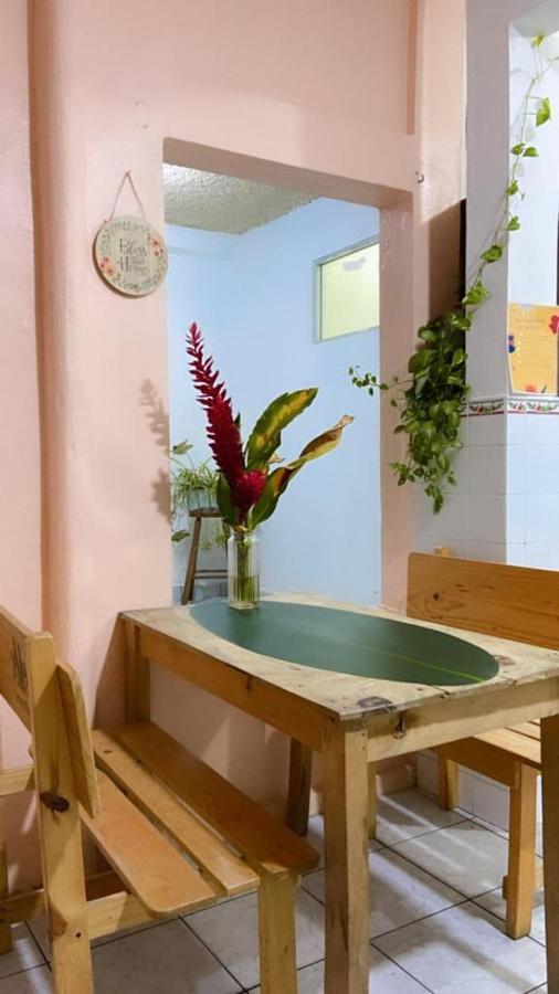 플로레스 Amavi House 아파트 외부 사진